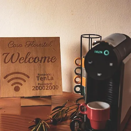 Casa Florestal - The Hobbit House Chata *