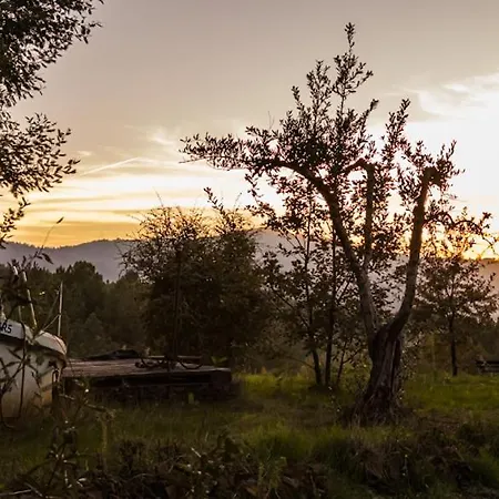 Деревянный коттедж Casa Florestal - The Hobbit House *